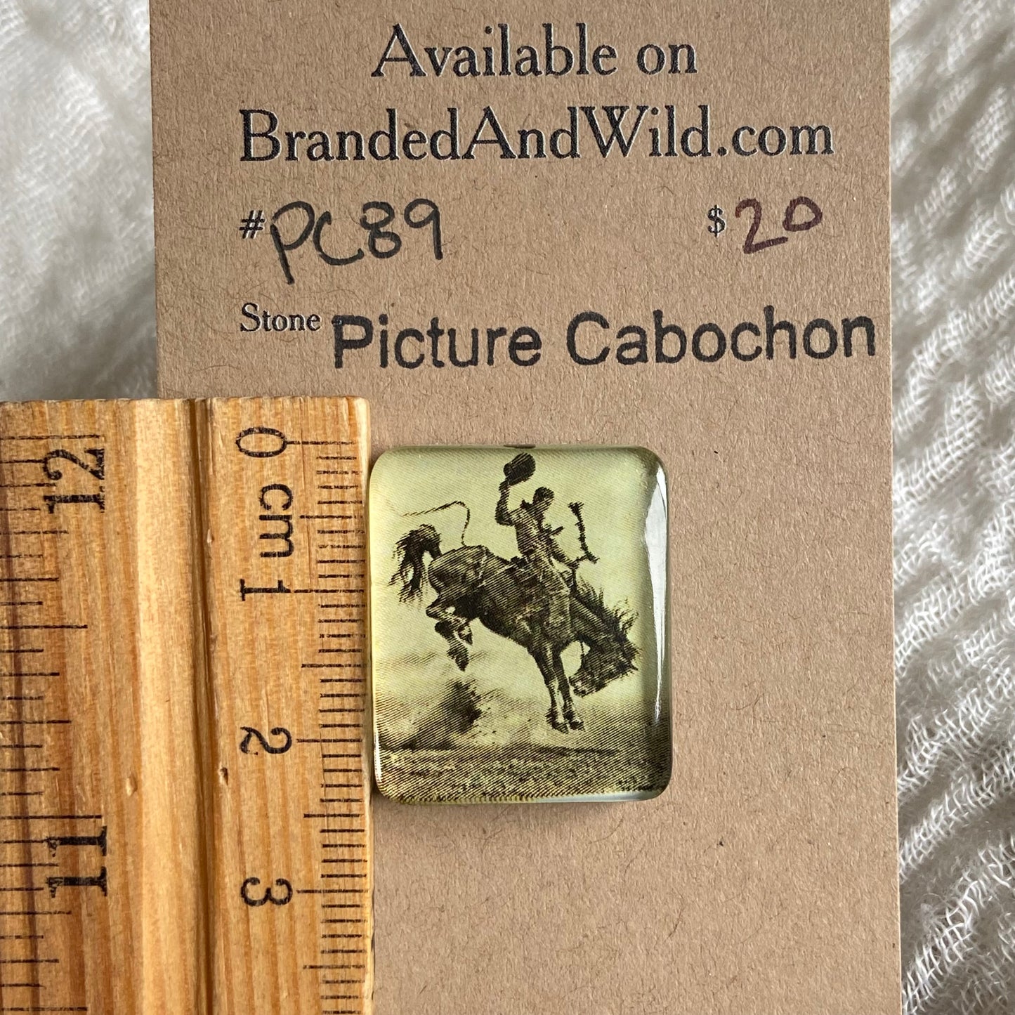 Picture Cabochon - Cabochon - PC89 5C866624-27EB-4381-B8CD-58137D64A2B0 Brandedandwild.com