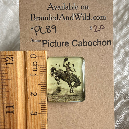 Picture Cabochon - Cabochon - PC89 5C866624-27EB-4381-B8CD-58137D64A2B0 Brandedandwild.com