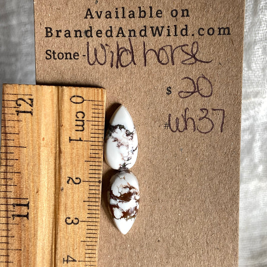 Wild Horse Cabochon - WH37