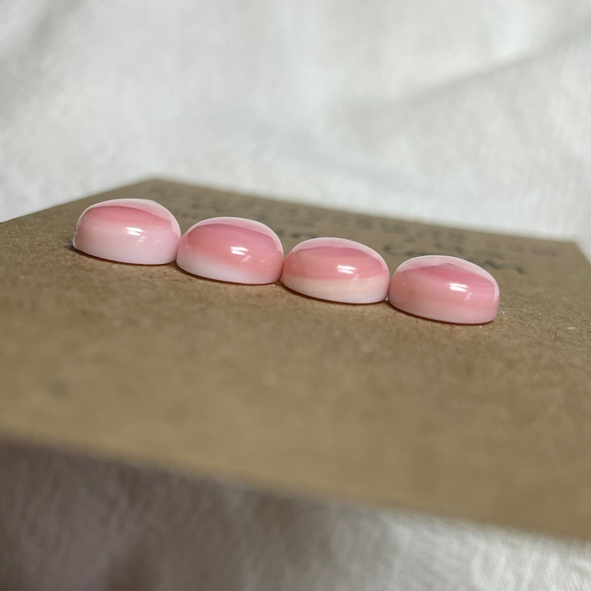 Pink Conch Cabochon - PC20 5C95C9E2-F142-42A9-92A4-1B138A8E67FA Brandedandwild.com