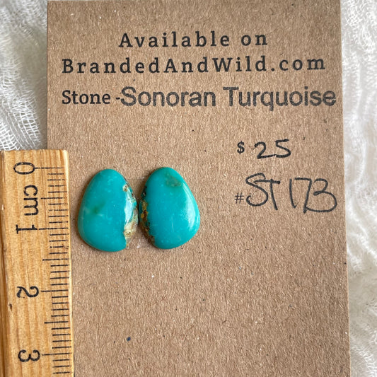 Sonoran Turquoise Cabochon - ST173 5C98E3A0-BB69-46A2-AFC1-379393217B50 Brandedandwild.com
