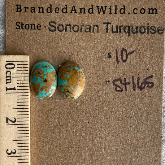 Sonoran Turquoise Cabochon - ST165