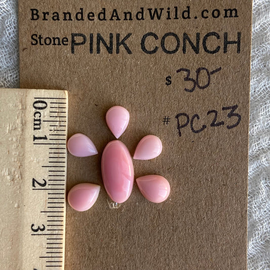 Pink Conch Cabochon - PC23