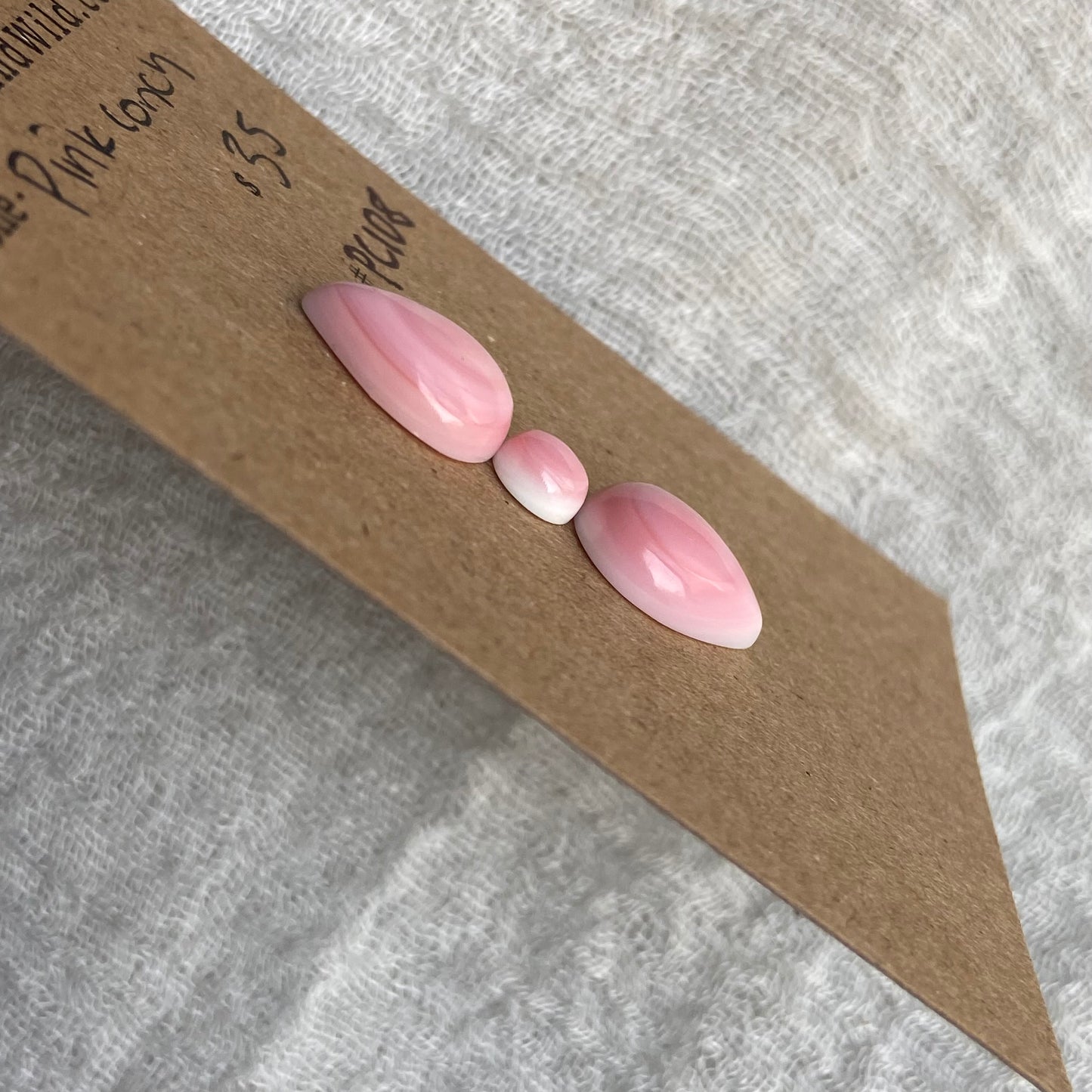 Pink Conch Cabochon - PC108