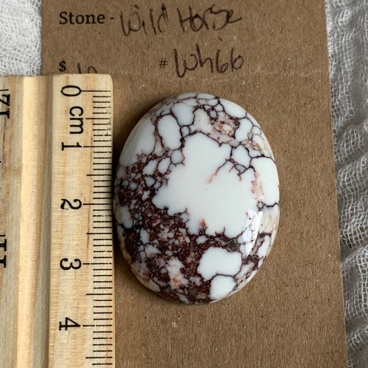 Wild Horse Cabochon - WH66