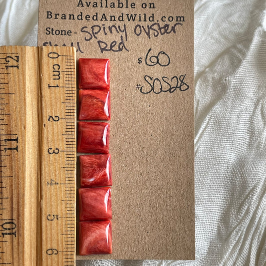 Spiny Oyster Shell Cabochon - SOS28 5CDF28F9-EF7D-46FA-AED4-C1A39DEBE9BA Brandedandwild.com