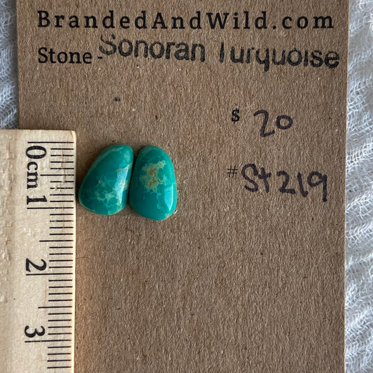 Sonoran Turquoise Cabochon - ST219