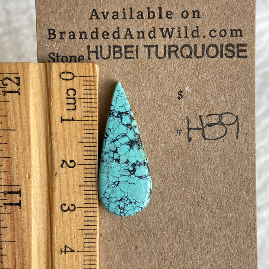 Hubei Turquoise Cabochon - H39