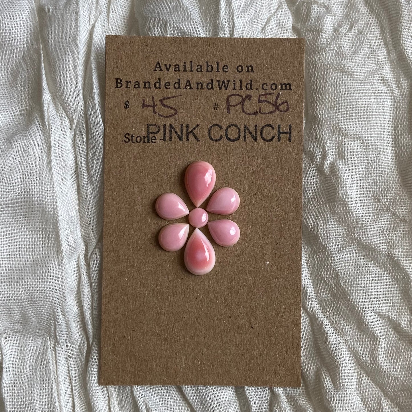 Pink Conch Cabochon - PC56 5D346ECE-3ECF-4ED6-9A48-B2B71DF782BD Brandedandwild.com
