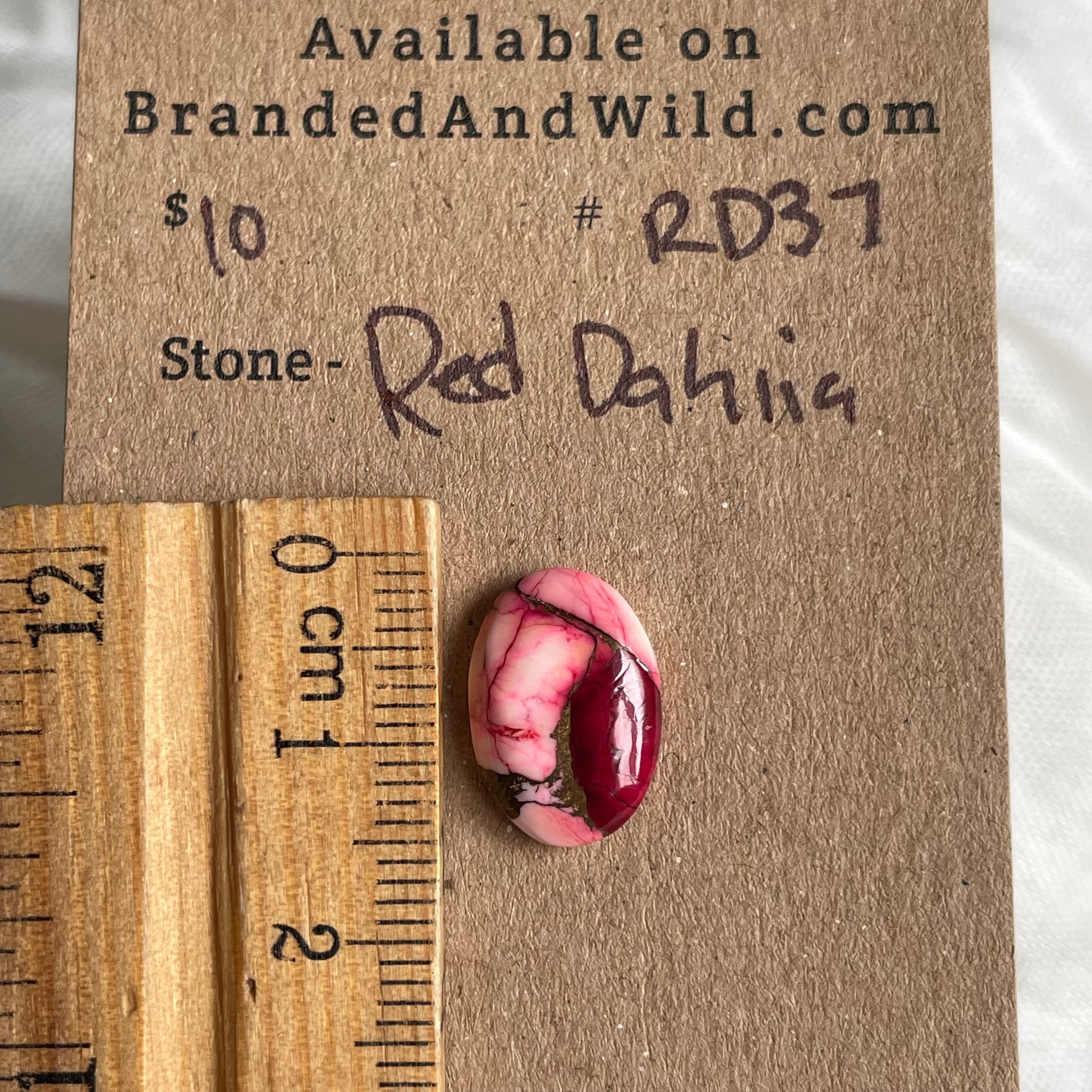 Red Dahlia Cabochon - RD37 5D56BB89-70FD-487E-B451-7D05B7FE6EC2 Brandedandwild.com