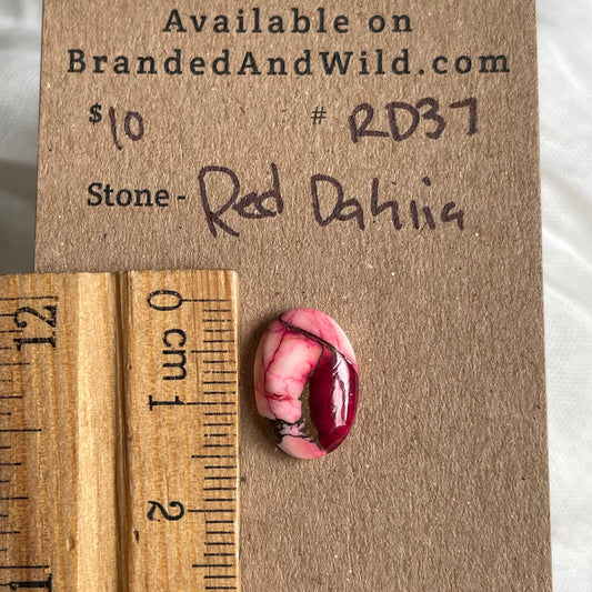 Red Dahlia Cabochon - RD37 5D56BB89-70FD-487E-B451-7D05B7FE6EC2 Brandedandwild.com