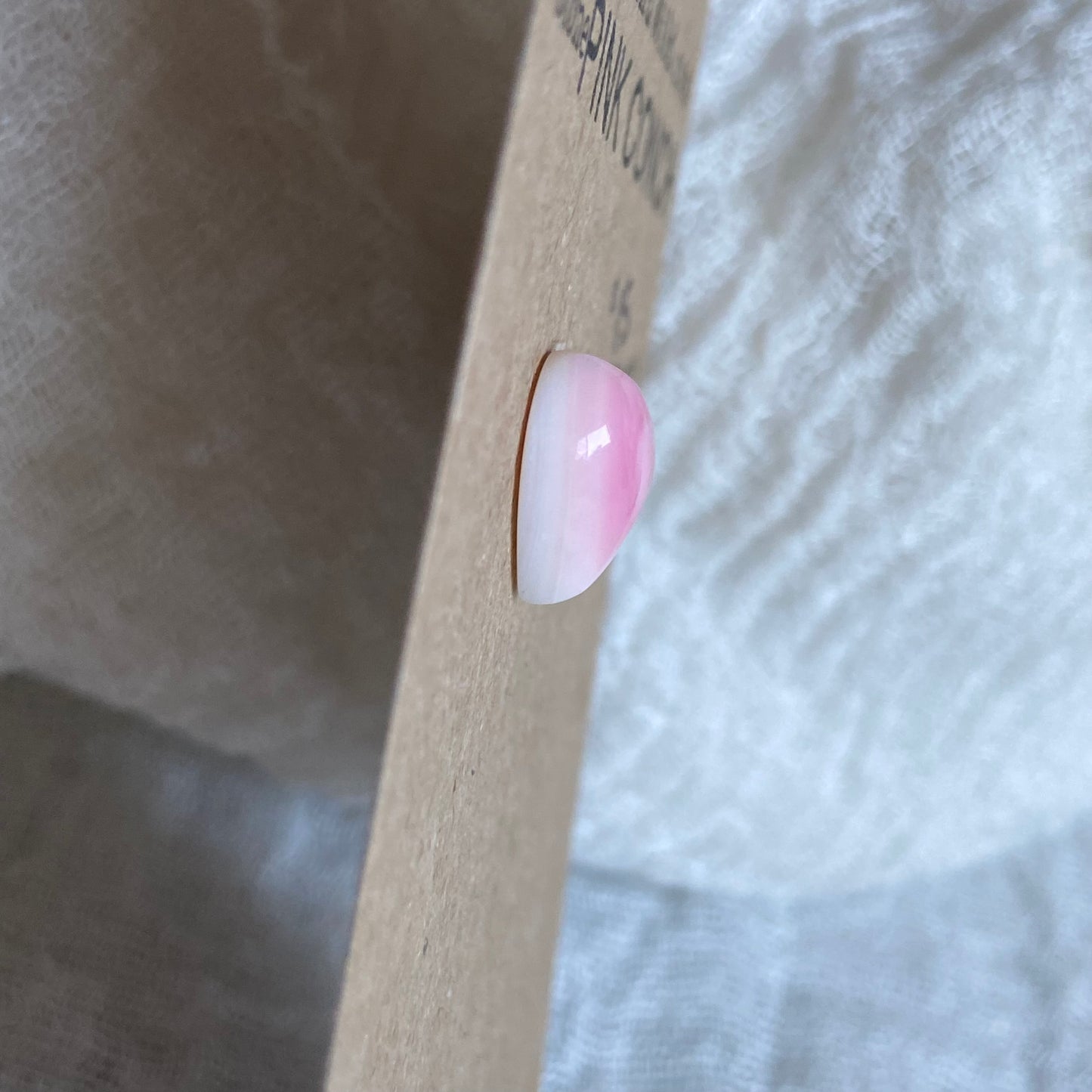 Pink Conch Cabochon - PC90