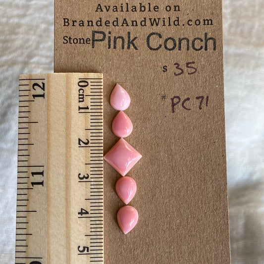 Pink Conch Cabochon - PC71