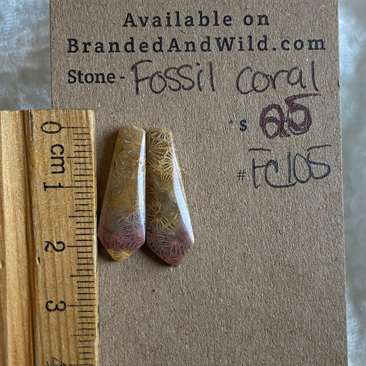 Fossil Coral Cabochon - FC105 5D87C0F4-9001-48FB-A70B-B1B7B2352B59 Brandedandwild.com