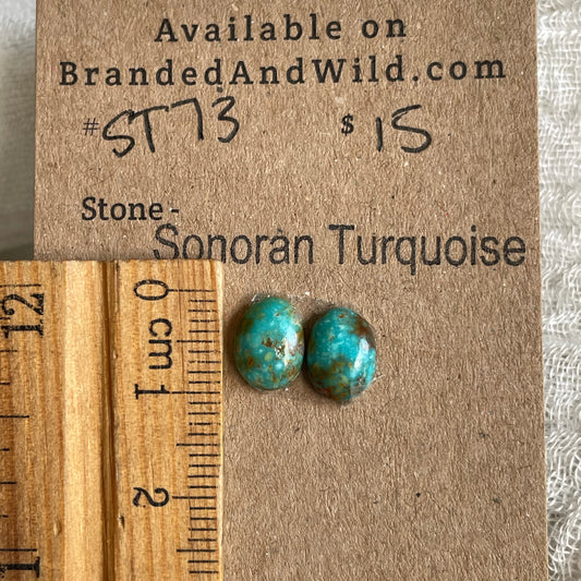 Sonoran Turquoise Cabochon - ST73 5D8D0F68-BDAA-4BB1-B6DC-6ED8A6779501 Brandedandwild.com