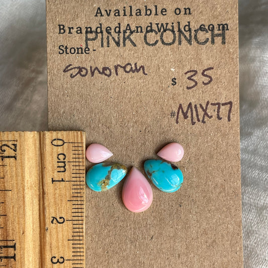 Pink Conch / Sonoran Cabochon - MIX77