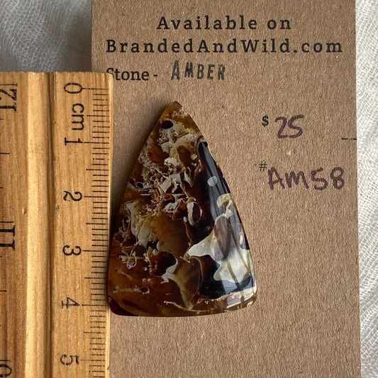 Amber Cabochon AM58