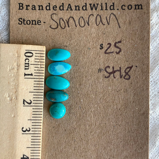 Sonoran Turquoise Cabochon - ST18