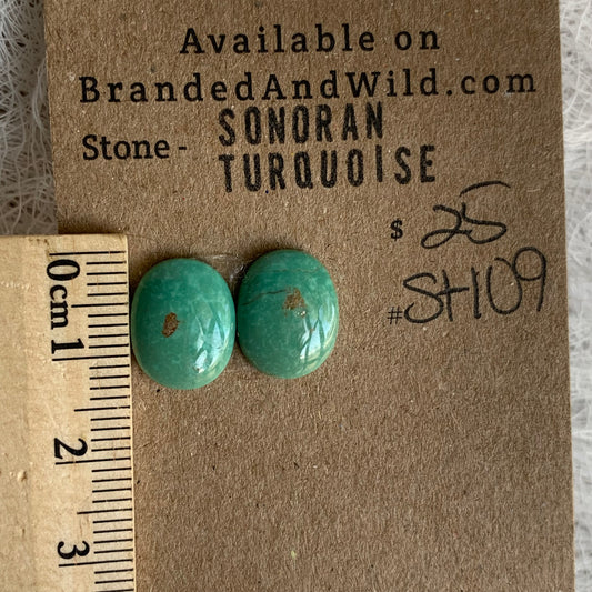 Sonoran Turquoise Cabochon - ST109