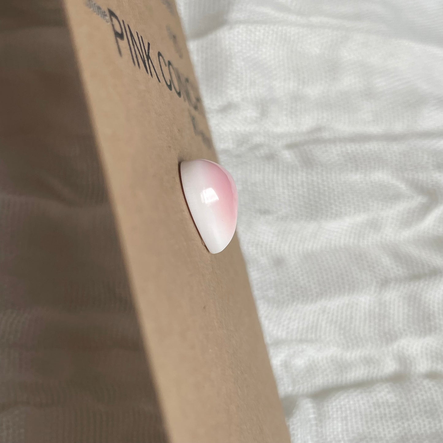 Pink Conch Cabochon - PC06 5E06DF7F-798B-43D3-823B-8F266BB22121 Brandedandwild.com