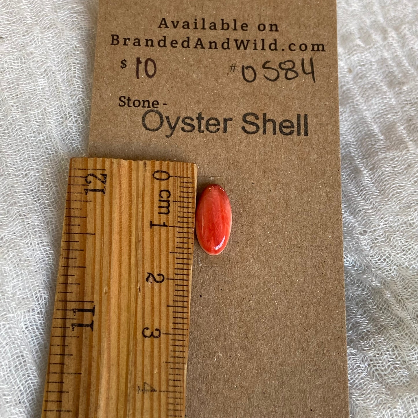 Oyster Shell Cabochon - OS84