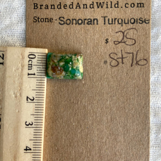 Sonoran Turquoise Cabochon - ST76