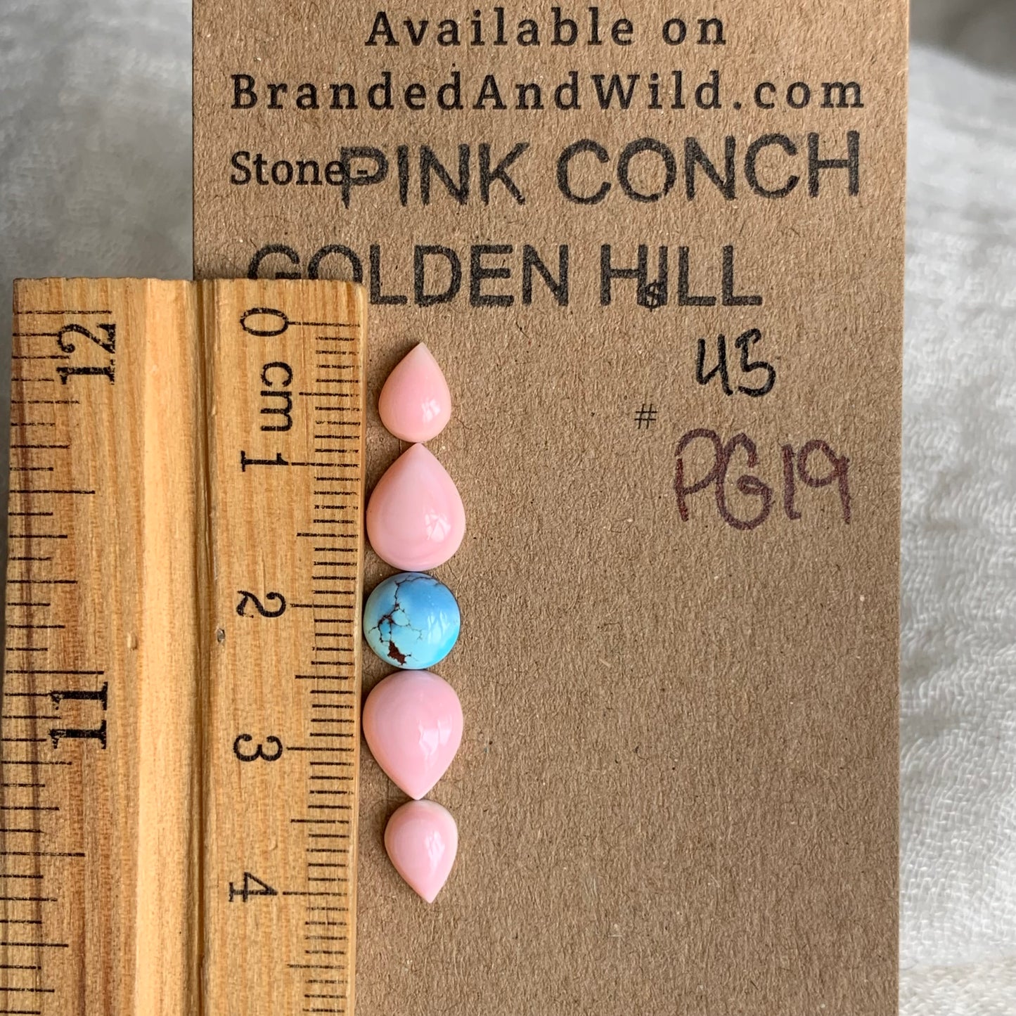 Pink Conch/Golden Hill Cabochon - PG19