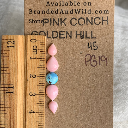 Pink Conch/Golden Hill Cabochon - PG19