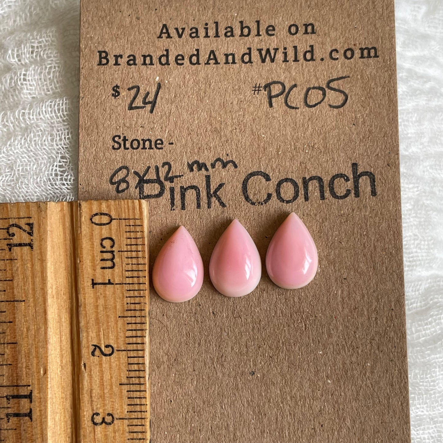 Pink Conch Cabochon - PC05