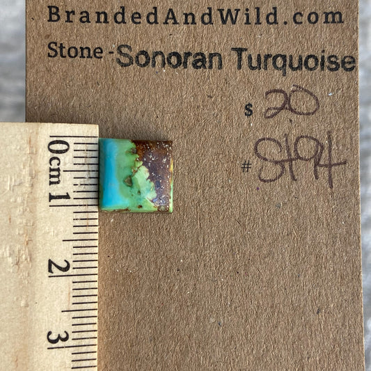 Sonoran Turquoise Cabochon - ST94