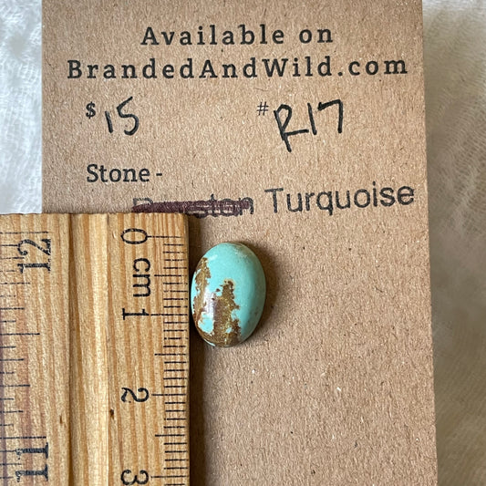 #8 Turquoise Cabochon - R17 5E97264A-09EE-4319-851C-349CC12748EB Brandedandwild.com