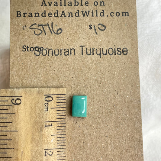 Sonoran Turquoise Cabochon - ST16 5EB031C3-E383-43D3-B30C-3AB8F59E509F Brandedandwild.com