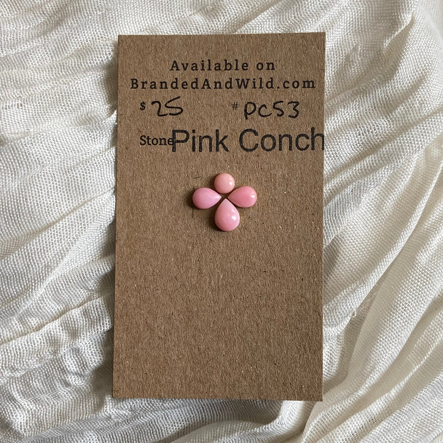 Pink Conch Cabochon - PC53 5ECD0CB9-560D-4360-A5A9-3DAD35DC7135 Brandedandwild.com