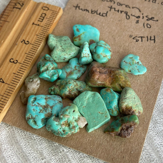 Rough Tumbled Sonoran Gold Turquoise - #ST14