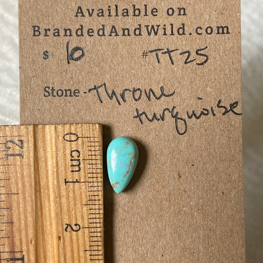 Tyrone Turquoise Cabochon - TT25 5EE91B5A-98D8-43F2-A7D3-538B001A41BE Brandedandwild.com