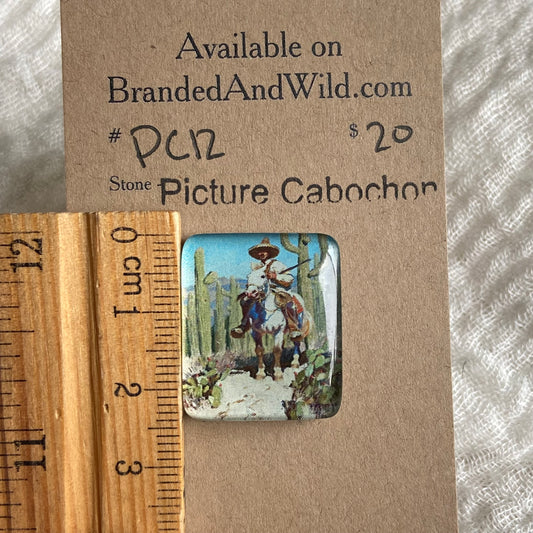 Picture Cabochon - Cabochon - PC12 5EEA55D3-506A-45F6-993D-508F5781AC1A Brandedandwild.com