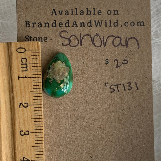 Sonoran Turquoise Cabochon - ST131
