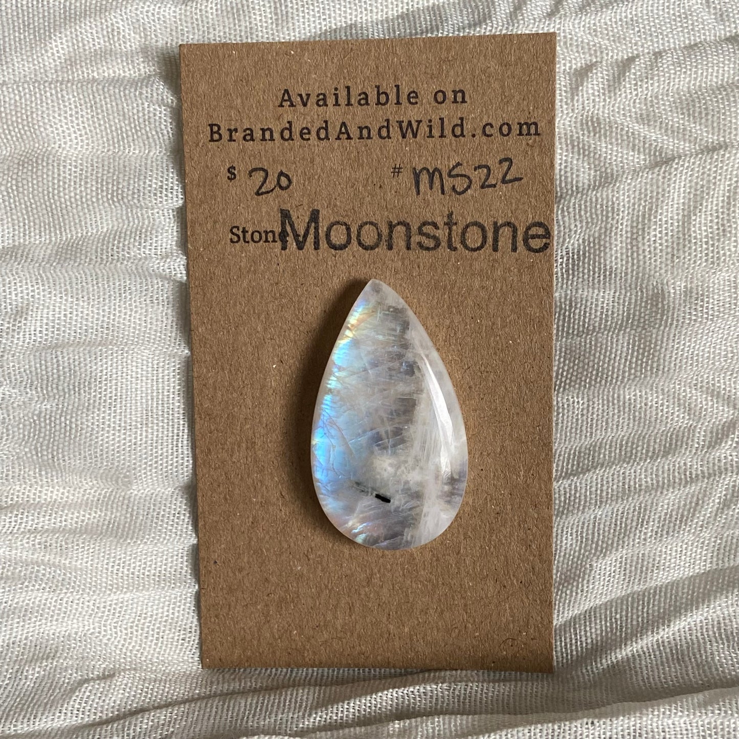 Moonstone cabochon - Ms22 5F0E3E10-2325-4B71-BFA1-E46D785CBC87 Brandedandwild.com