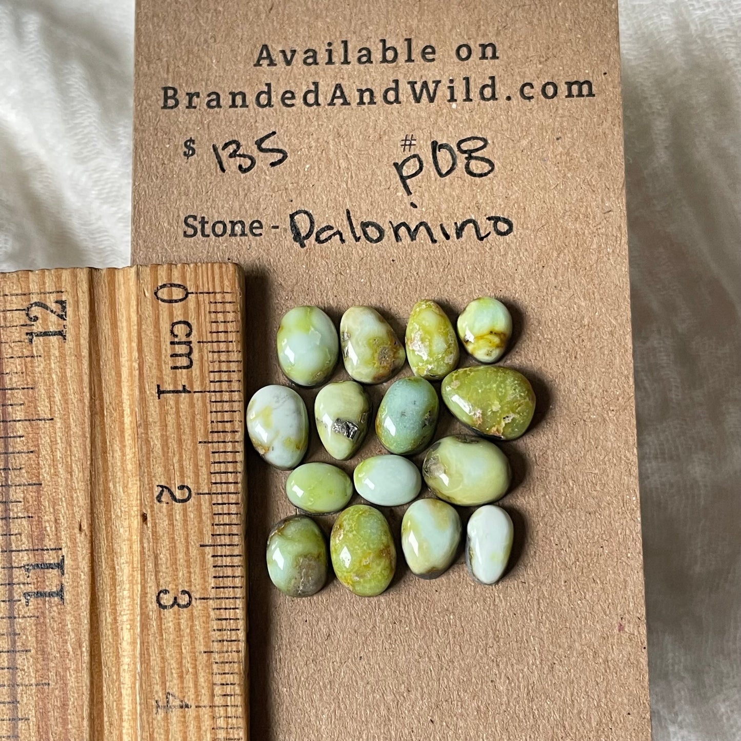 Palomino Cabochon - P08 5F15AD44-A518-4E9A-B83C-64775D59601F Brandedandwild.com