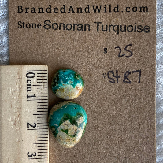Sonoran Turquoise Cabochon - ST87