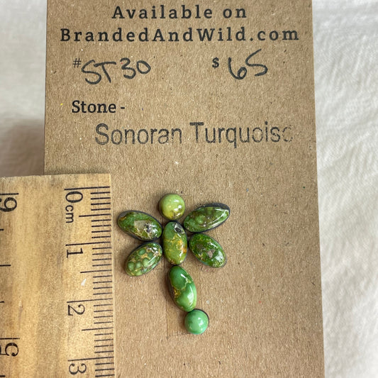 Sonoran Turquoise Cabochon - ST30 5F3EEEA4-AB30-46B3-AC78-A2195700C6D5 Brandedandwild.com