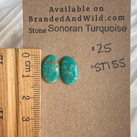 Sonoran Turquoise Cabochon - ST155 5F3FDCBA-E5C4-44CE-A905-D5DDA09D4E8F Brandedandwild.com