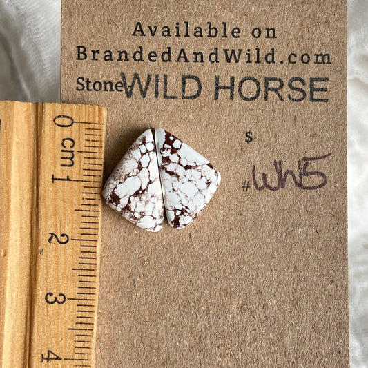 Wild Horse Cabochon - WH15