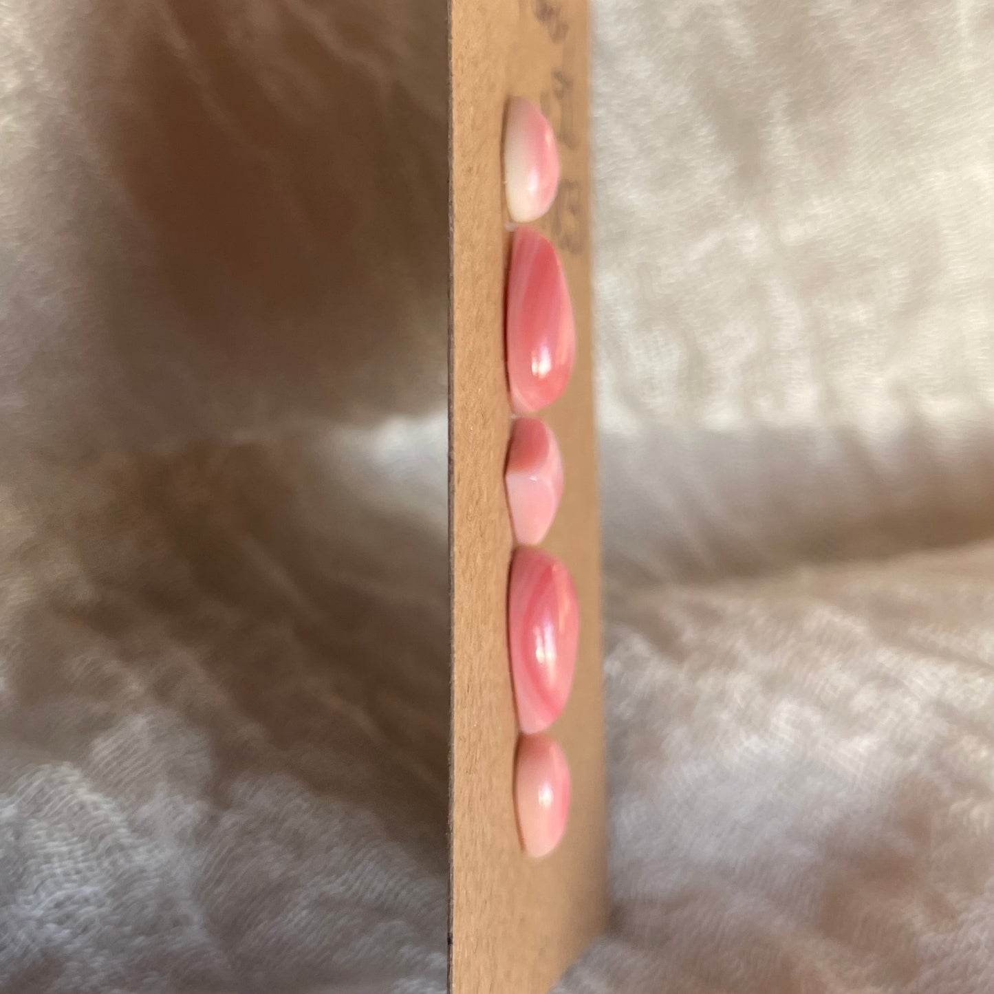 Pink Conch Cabochon - PC31 5F865512-631D-4387-A390-871937B69E80 Brandedandwild.com
