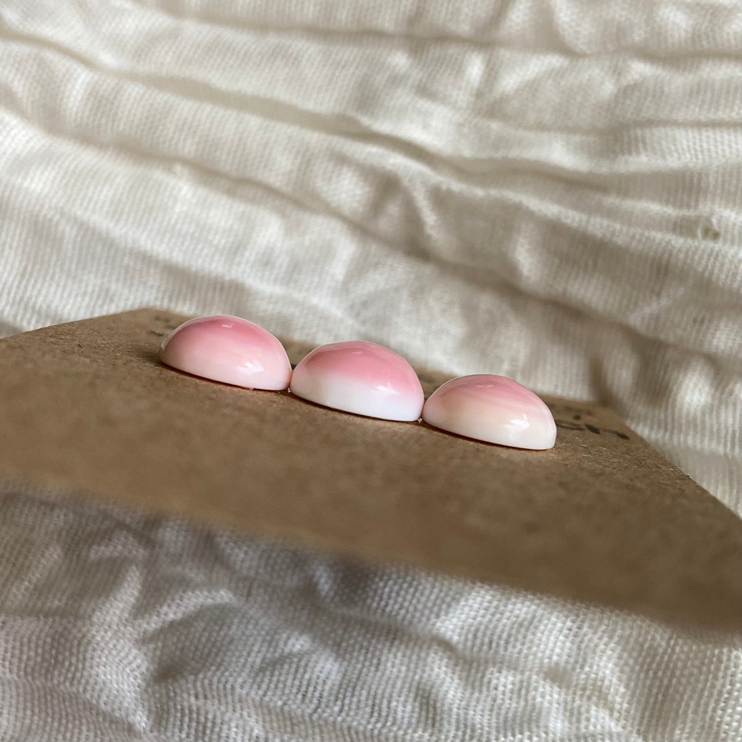 Pink Conch Cabochon - PC57
