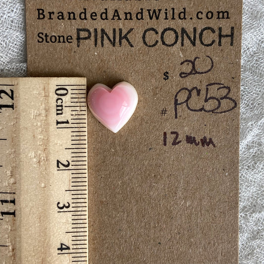 Pink Conch Cabochon - PC53