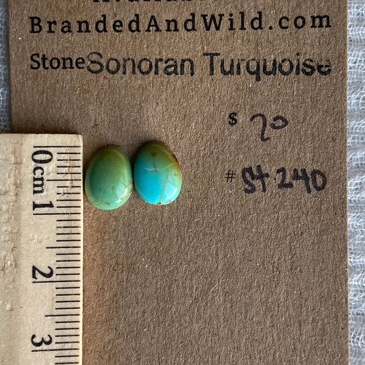 Sonoran Turquoise Cabochon - ST240
