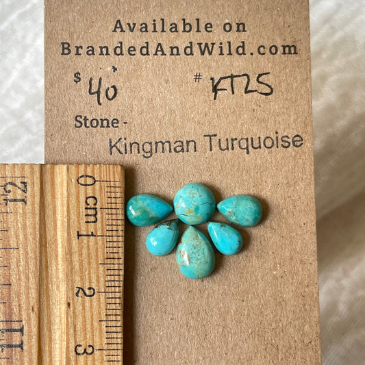 Kingman Turquoise Cabochon - KT25 5FAA2BCE-FEBF-472D-B61C-5C0B5A0C1C84 Brandedandwild.com