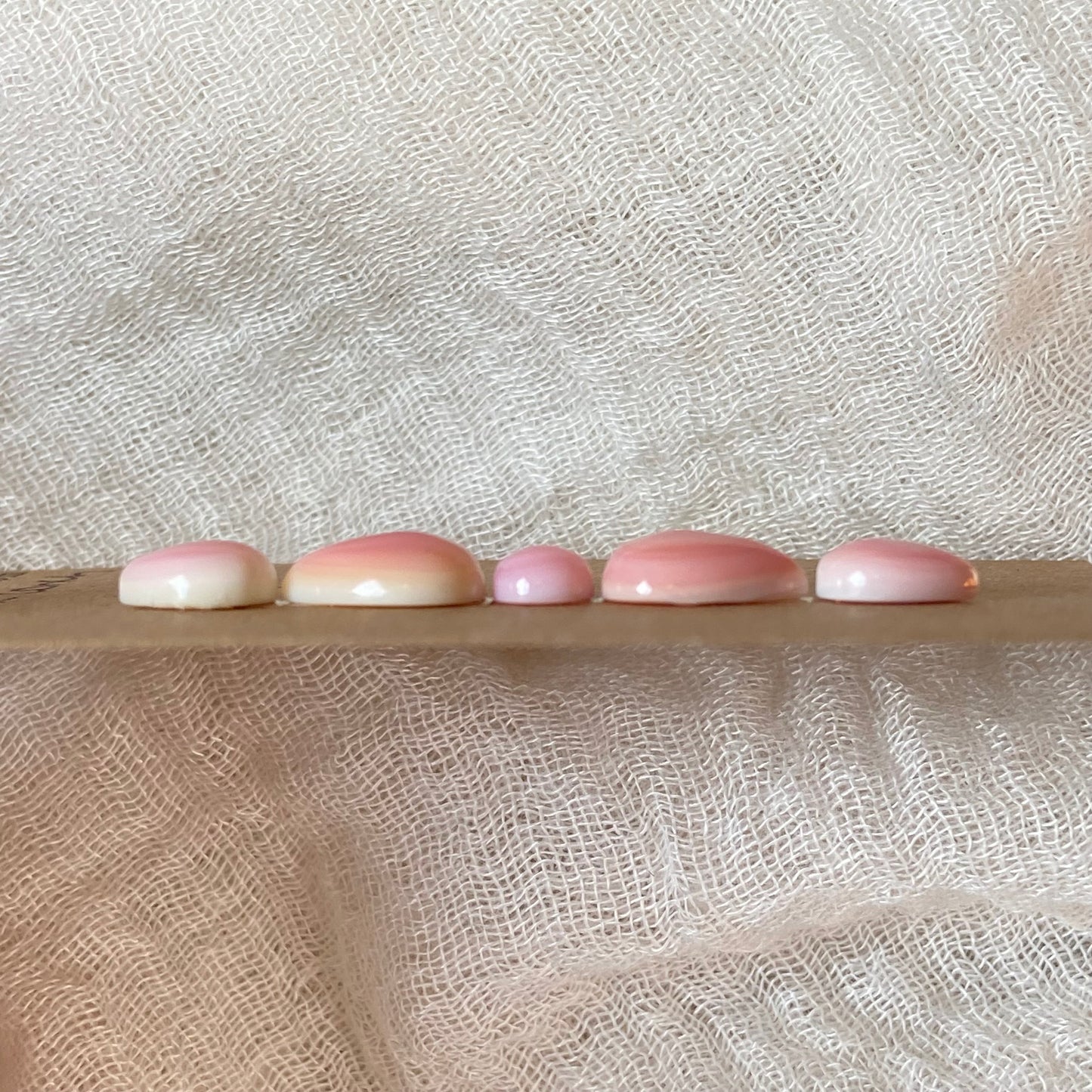 Pink Conch Cabochon - PC56