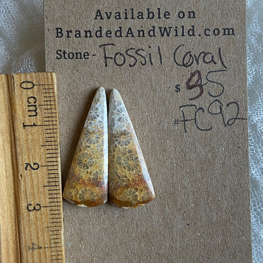 Fossil Coral Cabochon - FC92 5FE824CF-4C3B-446C-83DD-23E073D2C8FE Brandedandwild.com